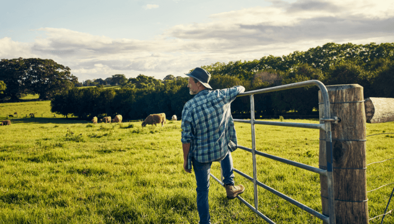 Ask the Doc: What can I do to shrink my prostate and boost my testosterone?