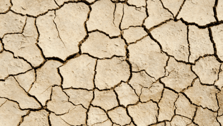 Ask the Doc: Why do I have dry skin on my penis?