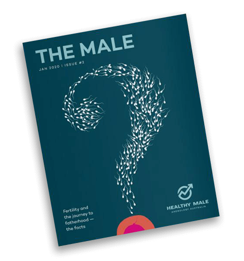 The Male issue #2