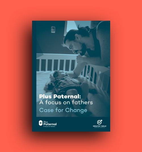 Plus Paternal Case for Change - Full Report Final