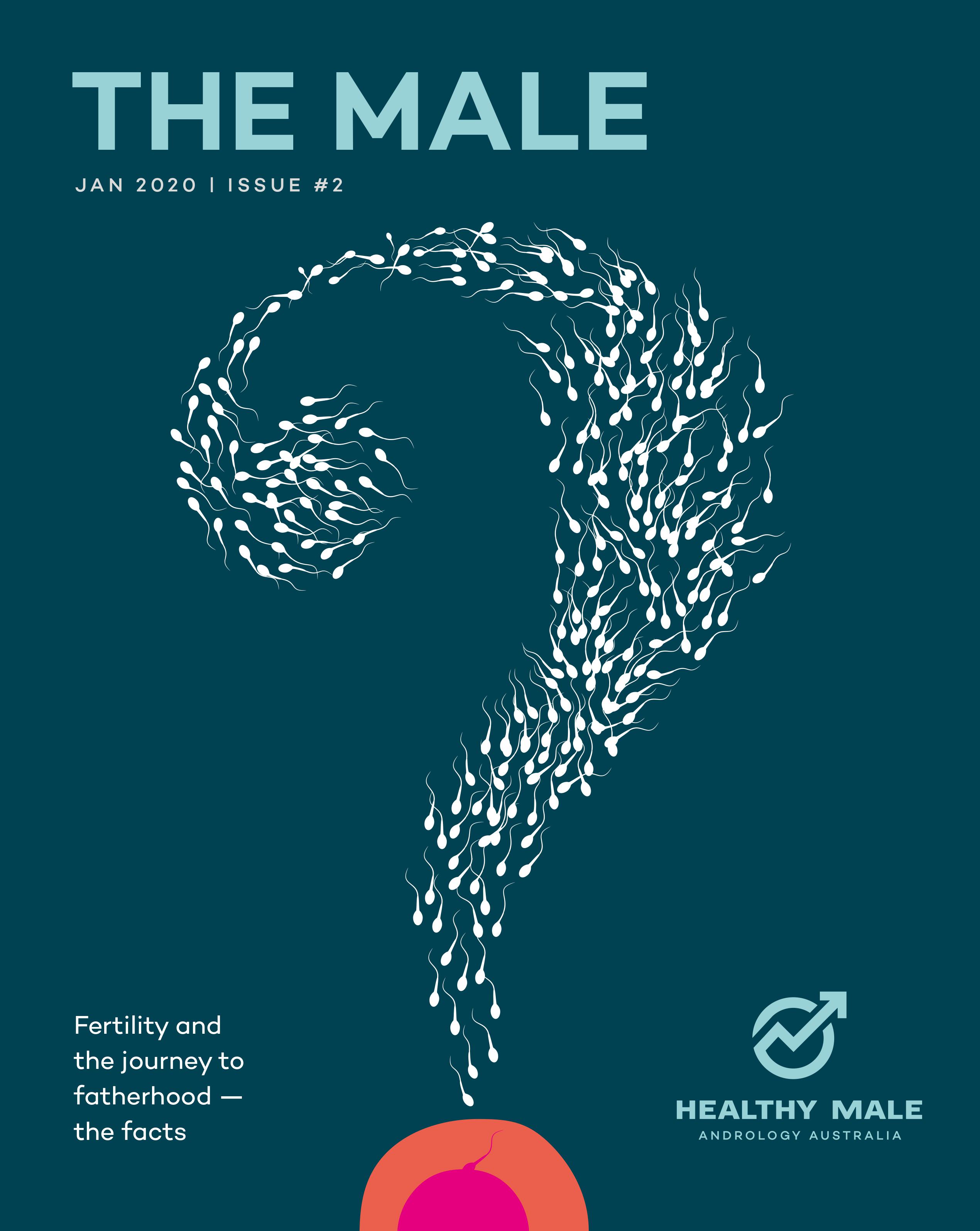 The Male - Issue #2