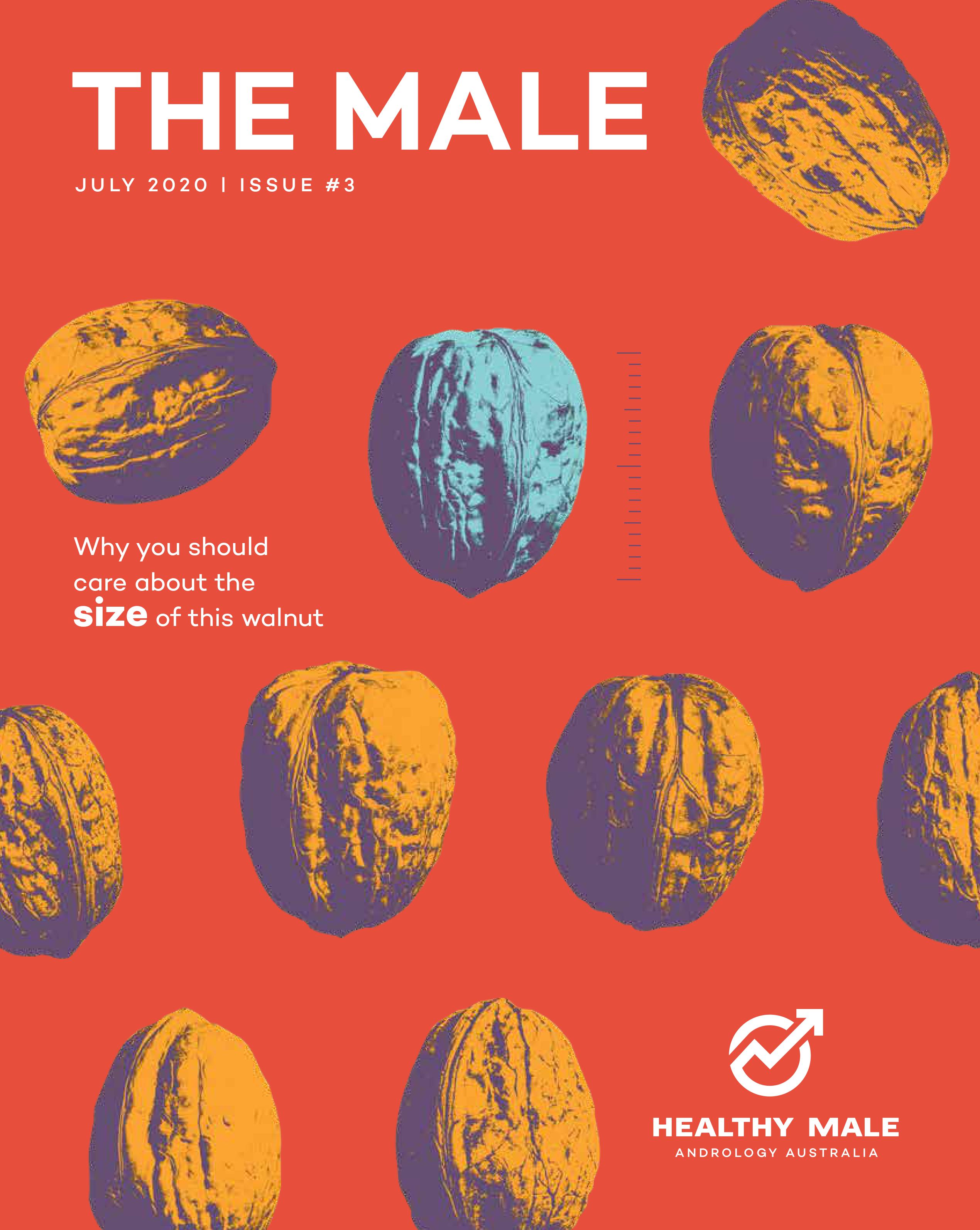 The Male - Issue #3