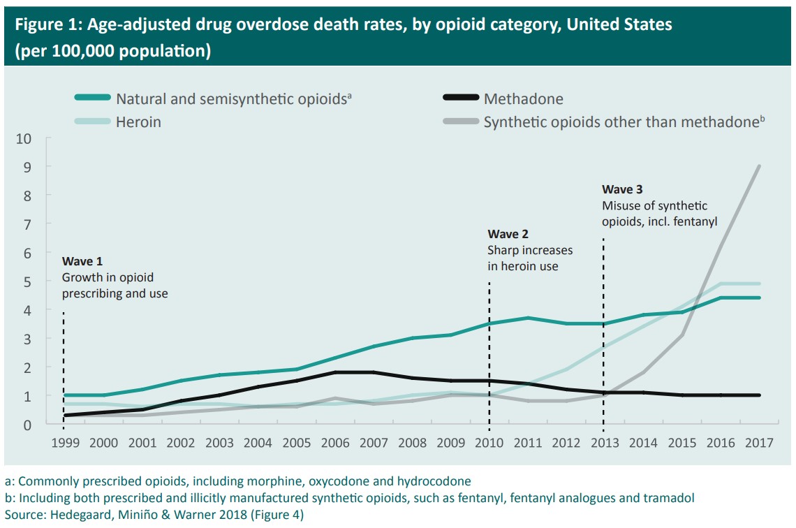 a graph with age-adjusted drug overdose death rates by opioid in the USA