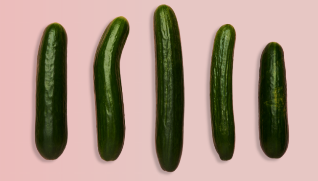 Row of differently sized cucumbers on pink background