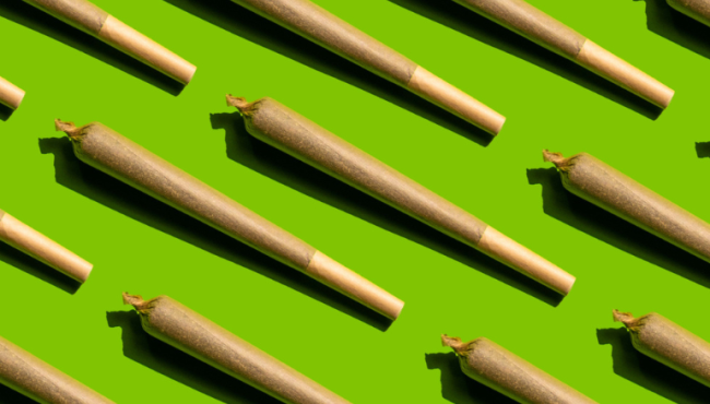 joints on green background