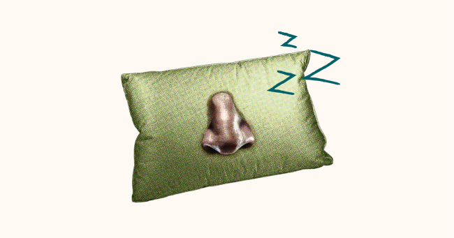 abstract image of a nose on a pillow